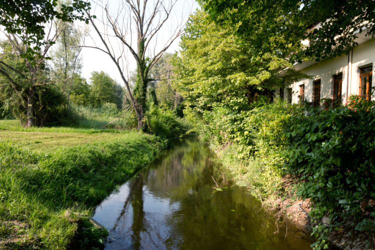 Tranquil stream at Altomincio Family Park in Lombardy, Italy, bordered by lush greenery and a building.