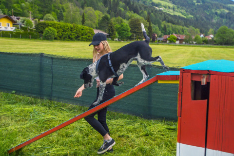 A woman guides her dog on an agility ramp at Camping Bella Austria holiday park in Styria, Austria.