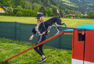 Una donna guida il suo cane su una rampa d'agilità a Camping Bella Austria, Stiria, Austria.