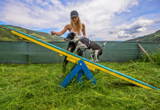 Mujer entrenando a perro blanco y negro en pista de agilidad al aire libre en Camping Bella Austria, Stiermarken, Austria.