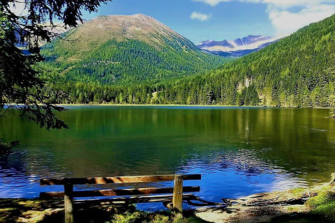 Banco junto a un lago con vistas a montañas verdes y bosque en Camping Bella Austria, Estiria, Austria.