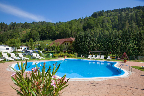 Outdoor pool with sun loungers, lush green forest, and mountains at Camping Bella Austria, Styria, Austria.