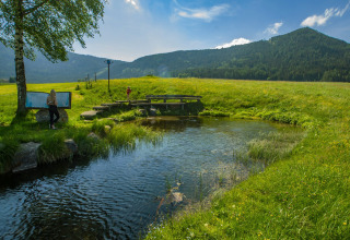 Scenic view of a stream, green meadow, and hills at Camping Bella Austria in Styria, Austria.