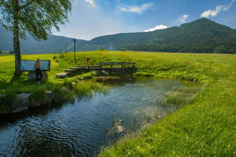 Vista panoramica su ruscello, prato verde e colline presso Camping Bella Austria in Stiria, Austria.