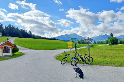 En solrig dag ved Camping Bella Austria, Stiermarken, med cykler, hund, skilte og bjerge i baggrunden.