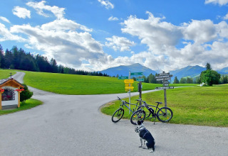Giornata di sole al Camping Bella Austria, Stiria, Austria con biciclette, cane, cartelli e montagne.