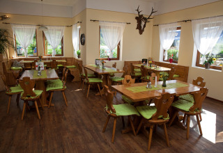 Luminoso ambiente da pranzo al Camping Bella Austria con sedie in legno, cuscini verdi e piante decorative.