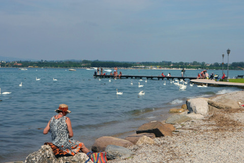 Donna seduta sulla riva del lago con cigni e visitatori al Camping Bella Italia, Veneto, Italia.