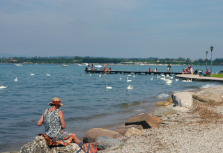 Woman sitting by the lakeshore with swans and visitors at Camping Bella Italia in Veneto, Italy.