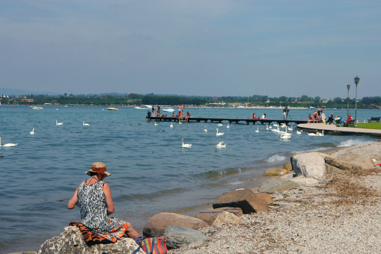 Woman sitting by the lakeshore with swans and visitors at Camping Bella Italia in Veneto, Italy.