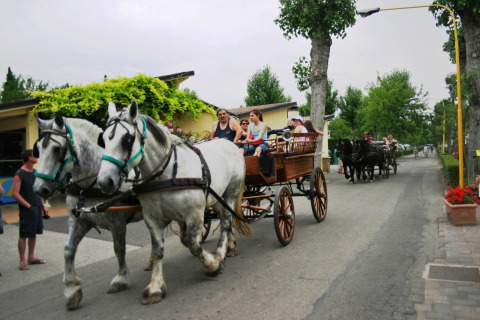 Carruaje tirado por caballos con turistas paseando por Camping Bella Italia entre árboles y edificios en Véneto, Italia.