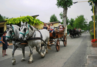 Carrozza trainata da cavalli con turisti a bordo al Camping Bella Italia, tra alberi e alloggi in Veneto, Italia.
