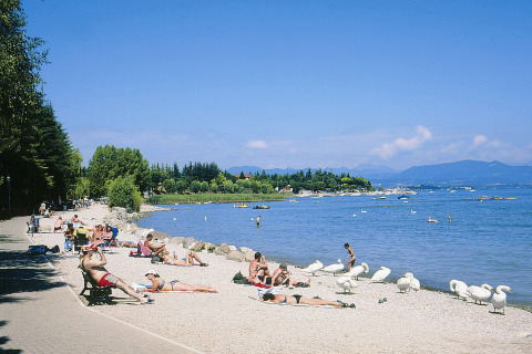 Personas tomando el sol en la orilla de Camping Bella Italia en Véneto, Italia, junto a cisnes y montañas.
