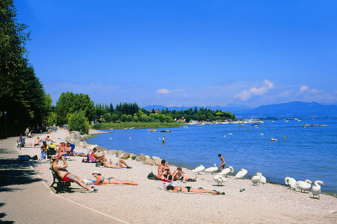 Playa en Camping Bella Italia, Véneto, Italia, con personas tomando sol, cisnes y vista panorámica al lago.