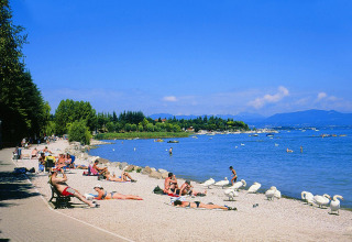 Strandscene ved Camping Bella Italia i Veneto, Italien, med solbadende gæster, svaner og udsigt til søen.