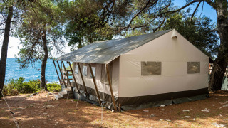 Tenda safari di lusso tra pini con vista mare, perfetta per una vacanza rilassante a contatto con la natura.