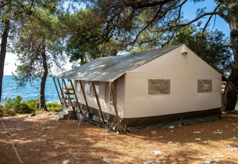 Luxury safari tent set among pine trees with an ocean view, perfect for a comfortable outdoor retreat.