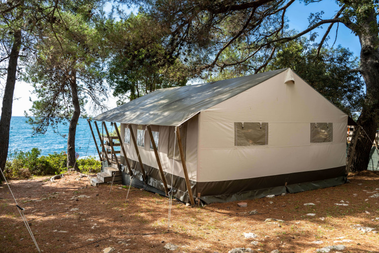 Luxe safaritent omringd door dennenbomen met uitzicht op zee, ideaal voor een ontspannen buitenverblijf.