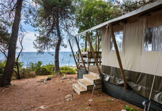 Luxus-Safarizelt am Meer im Koversada Camping Resort, Kroatien, mit Blick durch Kiefern auf das Wasser.