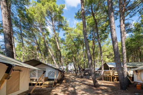 Safaritenten met airco op Camping Krk in Kroatië, tussen hoge dennen en natuurlijke omgeving.