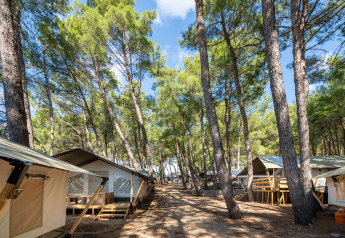 Safari tents with air conditioning at Camping Krk in Croatia, nestled among tall pine trees outdoors.