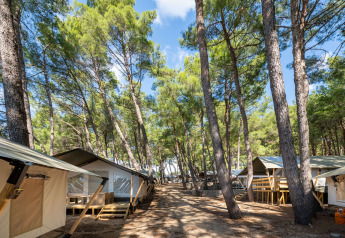 Safari telte med aircondition på Camping Krk i Kroatien omgivet af fyrretræer under en blå himmel.