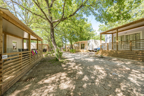Case mobili moderne tra alberi ombrosi al Camping Bijela Uvala di Funtana, Croazia, vialetto soleggiato.
