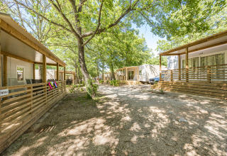 Moderne stacaravans onder groene bomen op Camping Bijela Uvala, Funtana, Kroatië, met zonnig pad.