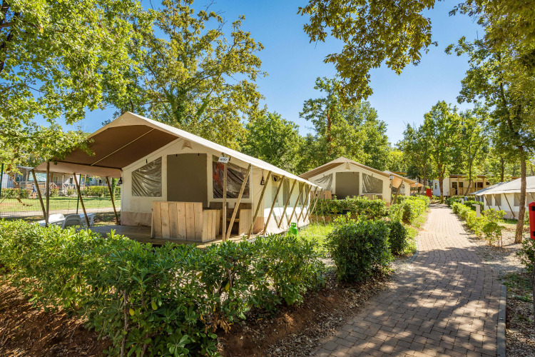 Tienda safari con instalaciones sanitarias en zona verde, varias tiendas junto a un sendero pavimentado.