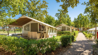 Tenda safari con servizi igienici in una zona verde, più tende lungo un sentiero pavimentato.