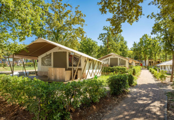 Tente safari avec sanitaires dans un cadre verdoyant, plusieurs tentes le long d’une allée pavée.