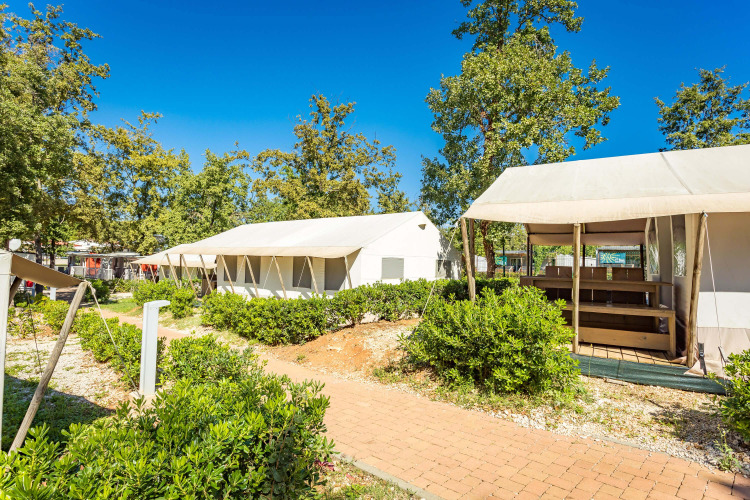 Tiendas safari con instalaciones sanitarias en Camping Bijela Uvala, Croacia, rodeadas de naturaleza verde.