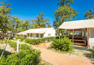 Tiendas safari con instalaciones sanitarias en Camping Bijela Uvala, Croacia, rodeadas de naturaleza verde.