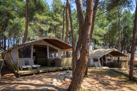 Tende safari di lusso al Camping Krk in Croazia, immerse tra alberi alti e aree relax esterne.