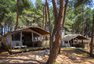 Tiendas safari de lujo en Camping Krk, Croacia, rodeadas de árboles altos y zonas de descanso exterior.