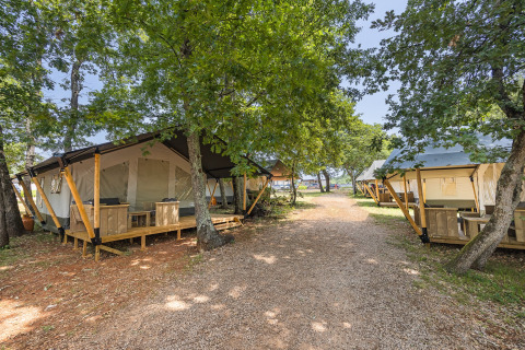 Tentes safari installées sur un chemin de gravier en forêt, idéales pour un séjour glamping confortable.