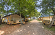 Tende safari disposte lungo un sentiero ghiaioso tra gli alberi, ideali per un soggiorno glamping.