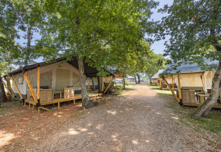 Tentes safari installées sur un chemin de gravier en forêt, idéales pour un séjour glamping confortable.