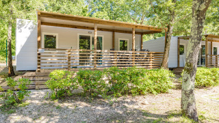 Vista del Mobile home Fuskulin, casetta moderna con veranda in legno, immersa nel verde tra alberi e cespugli.