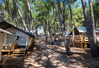 Tende safari con veranda in legno al Camping Krk in Croazia, immerse tra pini in un ambiente boschivo.