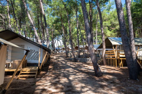 Tende safari con veranda in legno al Camping Krk in Croazia, immerse tra pini in un ambiente boschivo.