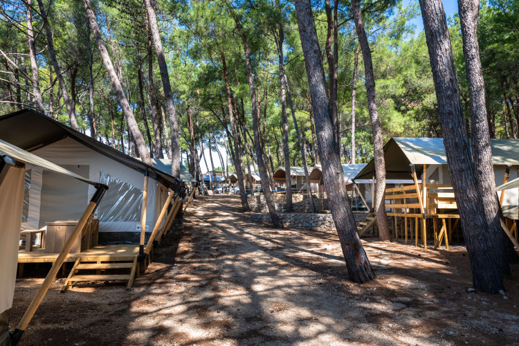 Tentes safari sur terrasses en bois à Camping Krk, Croatie, installées au cœur d’une forêt de pins.