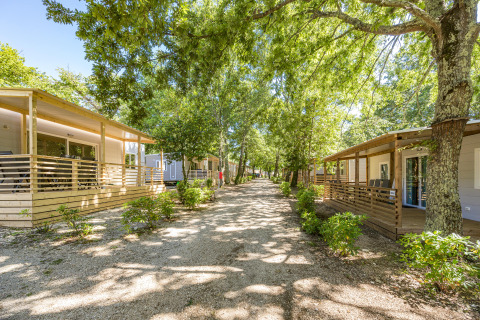 Case mobili moderne al Camping Bijela Uvala in Croazia, immerse nel verde e sotto alberi rigogliosi d'estate.