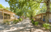 Case mobili moderne al Camping Bijela Uvala in Croazia, immerse nel verde e sotto alberi rigogliosi d'estate.