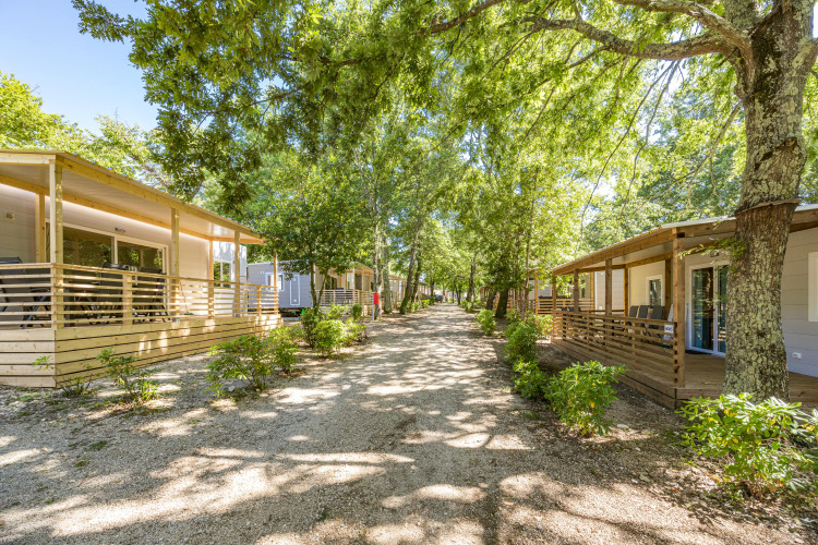 Casas móviles modernas en Camping Bijela Uvala, Croacia, rodeadas de árboles y ambiente tranquilo de verano.