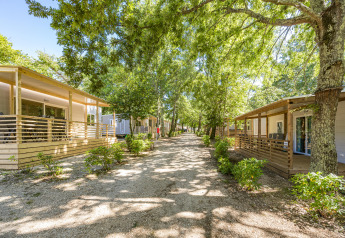 Case mobili moderne al Camping Bijela Uvala in Croazia, immerse nel verde e sotto alberi rigogliosi d'estate.