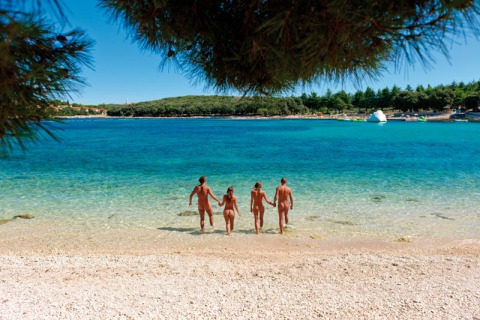 Vier Menschen laufen bei sonnigem Wetter am Koversada Camping Resort in Istrien, Kroatien, ins klare Wasser.