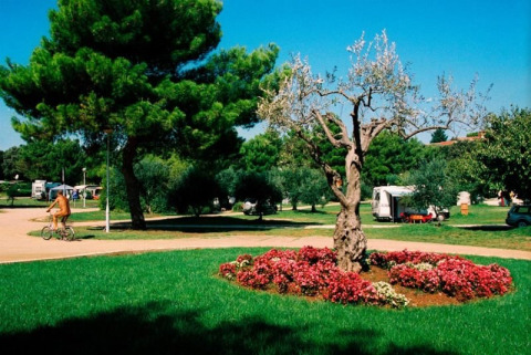 Zona de camping verde en Koversada Camping Resort, Istria, Croacia, con árboles, flores y persona en bicicleta.