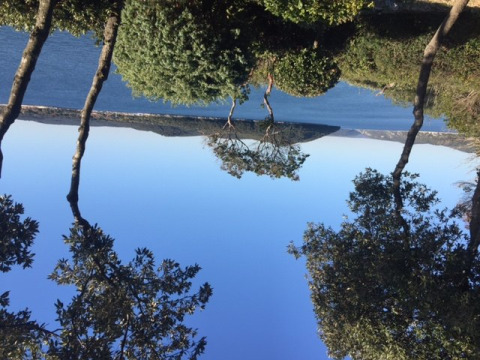 Foto taget i Koversada Camping Resort, Istrien, Kroatien, med træer, vand og blå himmel i et naturskønt område.