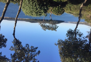 Photo taken at Koversada Camping Resort in Istria, Croatia, showing trees, water, and a clear blue sky.
